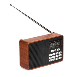 Радиоприемник Perfeo ALPINIST Коричневый
