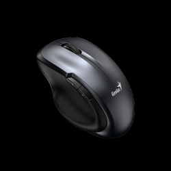 Мышь Genius Ergo 8200S Беспроводная Бесшумная (WirelessUSB) Iron Gray