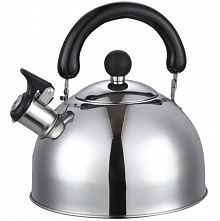 Чайник газовый Добрыня 2,5 л DO-2903