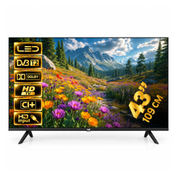 43" (109см) Телевизор VR 43VF13B, FHD 1920x1080, Цвет Чёрный