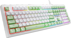 Клавиатура Defender Karon GK-129 RGB Led (USB) White+Green