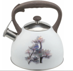 Чайник газовый Winner 3 л WR-5055