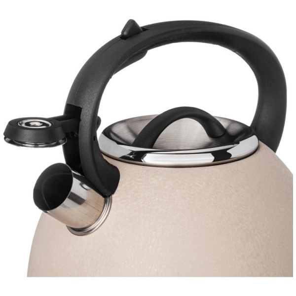 Чайник газовый Agness Teekessel 2,5 л 907-250