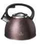 Чайник газовый Agness Teekessel 2,5 л 907-252