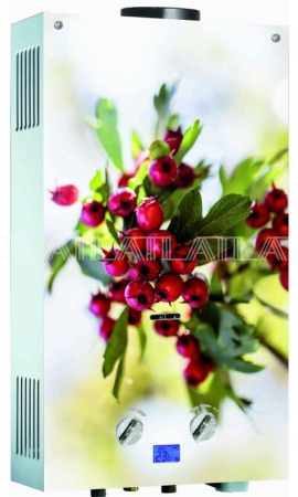 Колонка газова ATL 3-10 LT HAWTHORN, производительность 10 л/мин., Цвет Белый