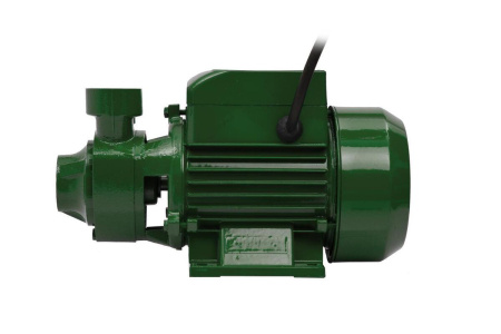 Насос поверхностный Oasis P-550V