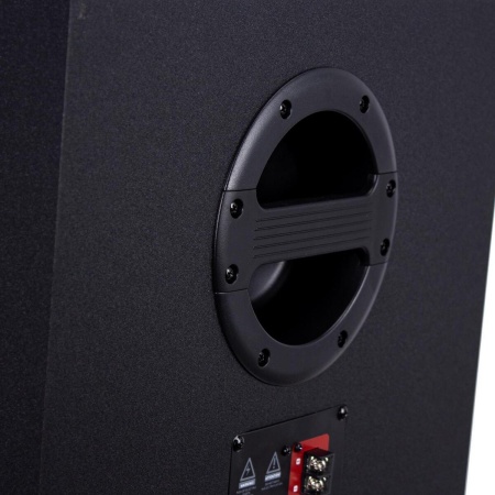 Портативная колонка Manya PartyBoom 500