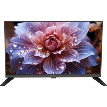  24" (61см) Телевизор GOLDSTAR LT-24R1100, SMART- Да, HD 1366x768, Цвет Чёрный