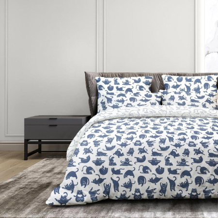 КПБ Евро Волшебная Ночь Yoga cat 50/70 Ранфорс 790534