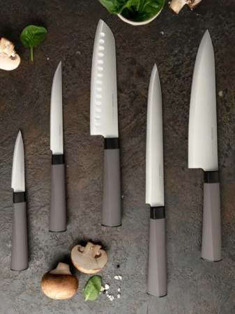 Набор ножей Nadoba Maury 6 пр. 724722