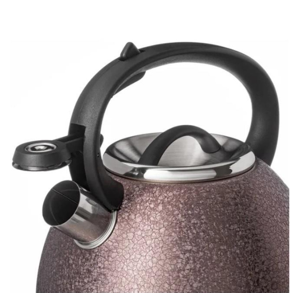 Чайник газовый Agness Teekessel 2,5 л 907-252