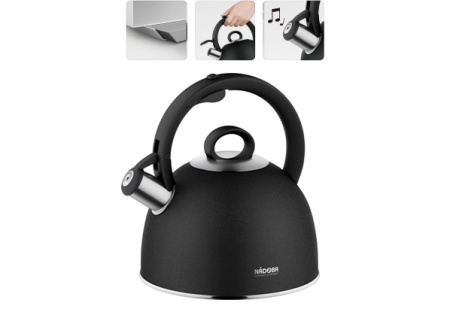 Чайник газовый Nadoba Anesa 2,5 л 731202