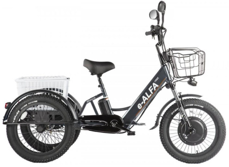 Трицикл Green City e-ALFA Trike Черный (023322-2515)