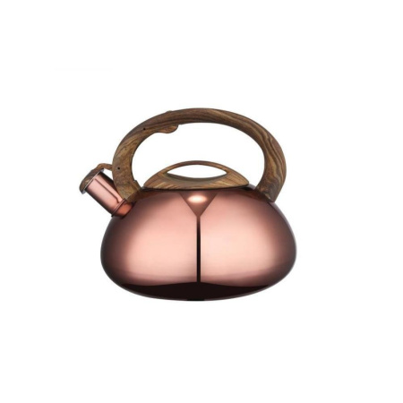 Чайник газовый Winner 3 л WR-5017