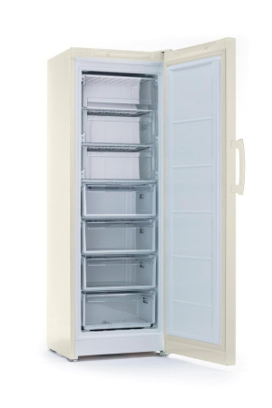 Морозильник Indesit DSZ 5175 E