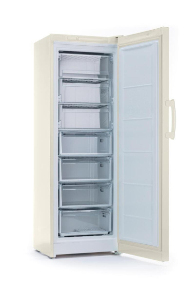 Морозильник Indesit DSZ 5175 E