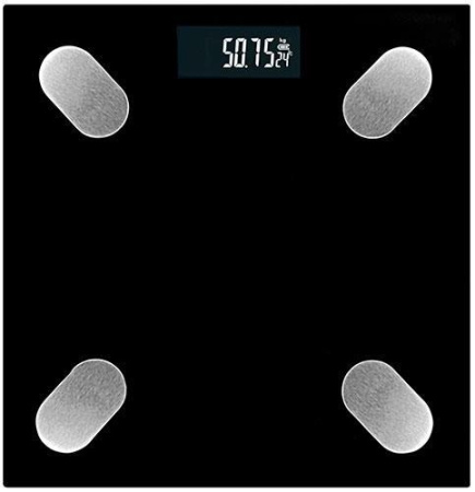 Весы GoodHelper BT-SA51