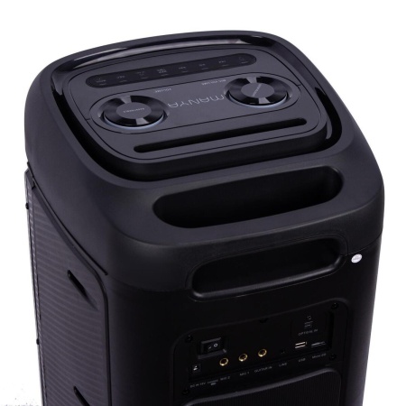 Портативная колонка Manya PartyBoom 210