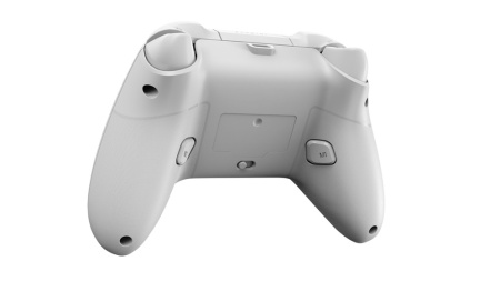 Геймпад Flydigi Direwolf 2 Wireless Grey