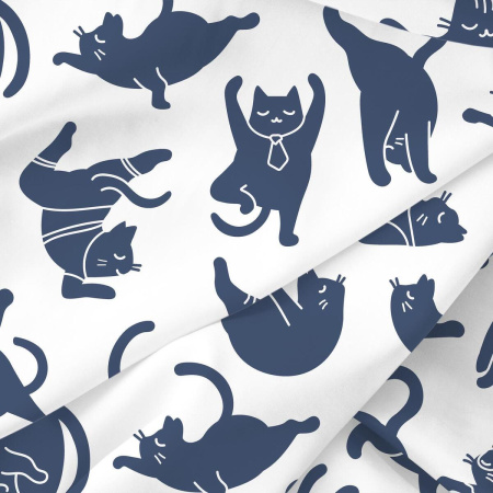 КПБ Евро Волшебная Ночь Yoga cat 50/70 Ранфорс 790534