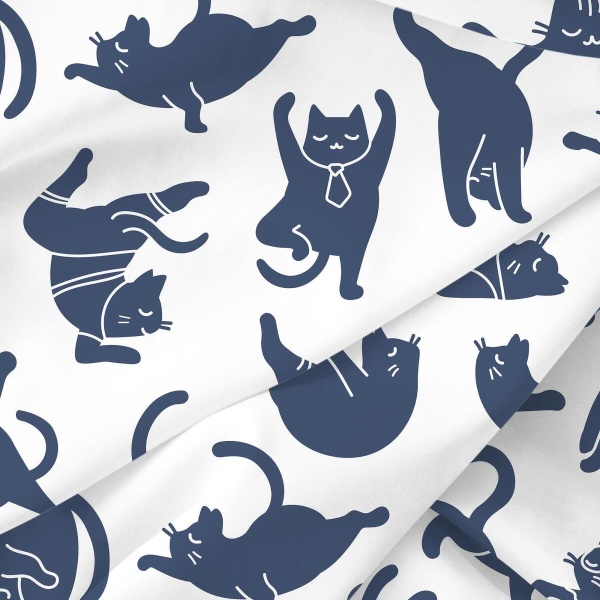 КПБ Евро Волшебная Ночь Yoga cat 50/70 Ранфорс 790534