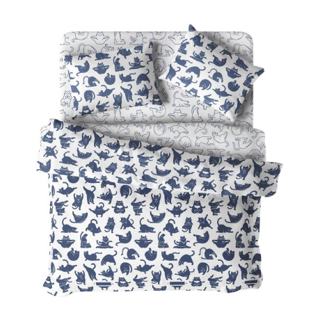 КПБ Евро Волшебная Ночь Yoga cat 50/70 Ранфорс 790534