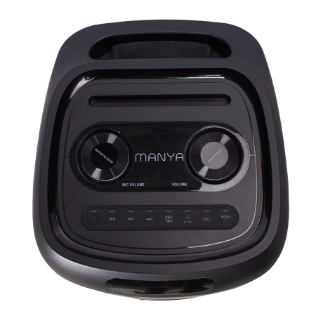 Портативная колонка Manya PartyBoom 210