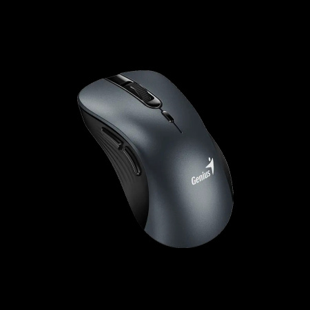 Мышь Genius Ergo 8100S Беспрводная Бесшумная (WirelessUSB) Iron Gray