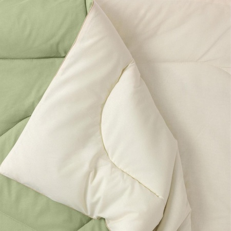 Одеяло Волшебная Ночь 200/220 Эвкалипт 200 гр/м2 Зеленый 931454