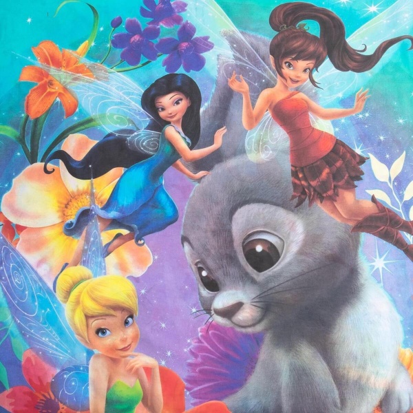 КПБ 1,5 сп Disney Феи 50/70 Поплин 1317328